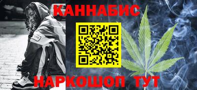 дмт Камышлов