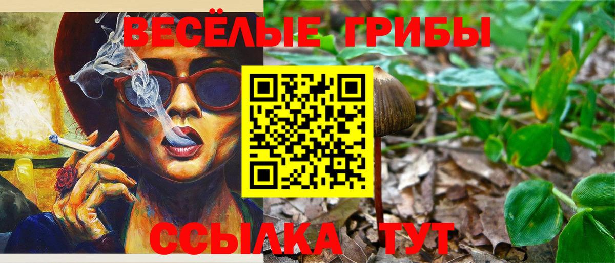 цены наркотик  Вход с VPN  Комсомольск-на-Амуре  Псилоцибиновые грибы Cubensis 